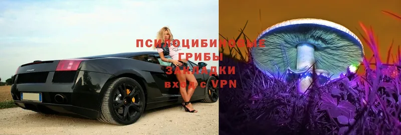 Галлюциногенные грибы прущие грибы  купить наркотики сайты  Старая Купавна 